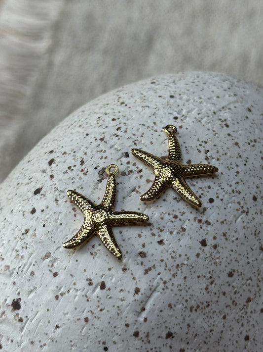Sjøstjerne Charm – Magien fra havet